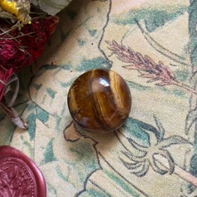 تصویر چشم ببر ۰۴ 