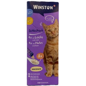 تصویر بسته بستنی گربه وینستون Winstone Pack مجموعه 2 عددی 