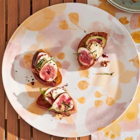 تصویر سینی سرو آبرنگی چیبو 