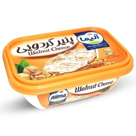 تصویر پنیر گردویی 250 گرمی آلیما 