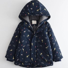 تصویر کاپشن زرافه 