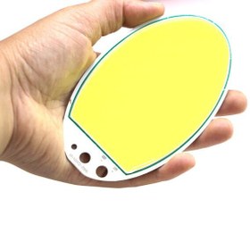 تصویر ال ای دی COB بیضی 50 وات 12 ولت 