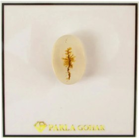 تصویر سنگ شجر پارلا گوهر کد 5013 