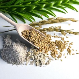 تصویر جو دوسر پرک 