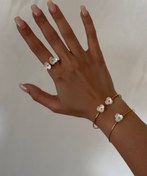 تصویر کالکشن : صدف طبیعی SEASHELL