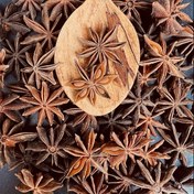 تصویر بادیان ستاره‌ای 