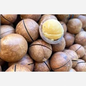 تصویر فندق ماکادمیا 