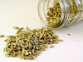 تصویر گیاه رازیانه 300 گرم 