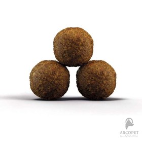 تصویر غذای خشک بچه گربه جوسرا مدل Kitten وزن ۲ کیلوگرم طعم مرغ 