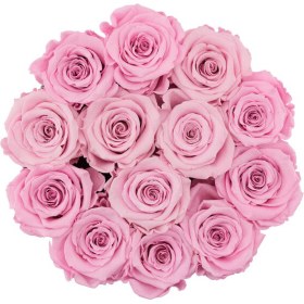 تصویر Pale Pink Eternal Roses in Black Flocked Box | کد: ZNB-1IWA 