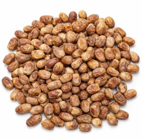 تصویر خرما زاهدی 