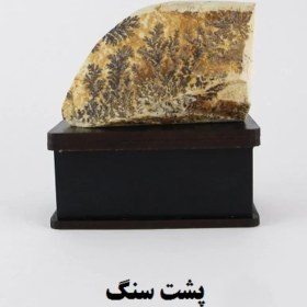 تصویر سنگ شجر فسیلی (دندریتی ) کد 2343 