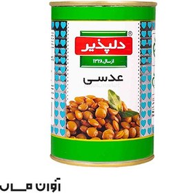 تصویر کنسرو خوراک عدسی دلپذیر 420 گرمی در بسته بندی 24 عددی 