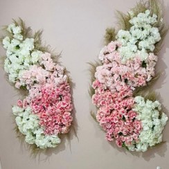 تصویر بال فرشته 