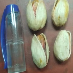 تصویر پسته شاه‌ پسند 