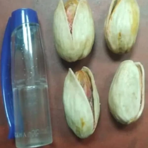 تصویر فروشگاه سینا شیراز