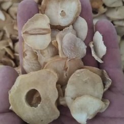 تصویر موسیر پلاکی عمده 