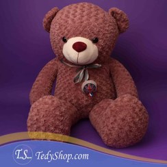 تصویر عروسک خرس کالباسی بزرگ 