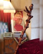 تصویر عصای منتشا درویشی 