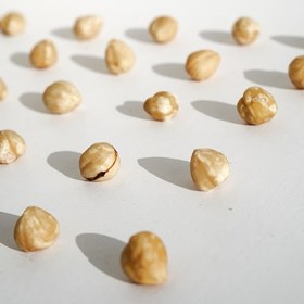 تصویر مغز فندق سفید 