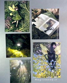 تصویر پوستر جنگل پک ۱۲ عددی Forest vibe 