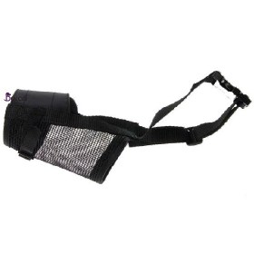 تصویر پوزه بند برزنتی DANNIEL 