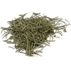 تصویر برگ رز ماری 