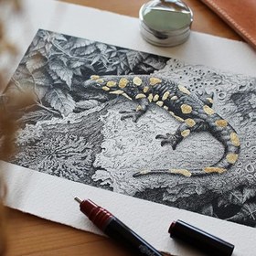 تصویر راپید روترینگ مدل isograph 