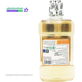 تصویر محلول دهانشویه ضد عفونی کننده ایرشا ضد پوسیدگی دندان 250 میلی لیتر Irsha Anti Septic Mouthwash 250 ml