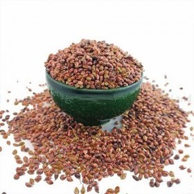 تصویر تخم جارو 