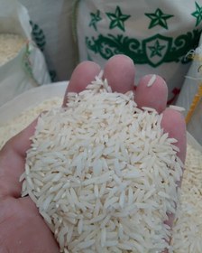 تصویر برنج هاشمی 