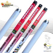 تصویر لامپ رشد گیاه ایستا مدل T8 رنگ مهتابی 