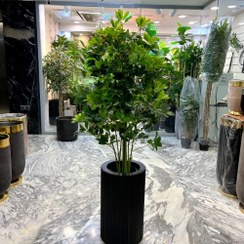 تصویر درختچه شفلرا مصنوعی 