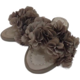 تصویر صندل گلریز رنگ بژ Sandal golriz gold