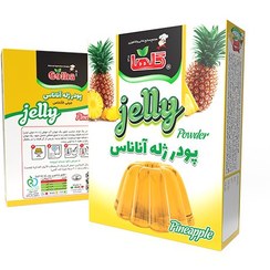 تصویر پودر ژله آناناس 100 گرم- جعبه 