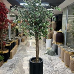 تصویر درختچه بنجامین مصنوعی 