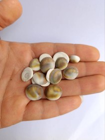 تصویر درپوش صدف ۵۰ گرم 