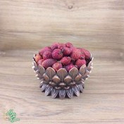 تصویر میوه گل نسترن (بیخ نسترن ، رز هیپ) سید عطار 