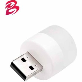 تصویر لامپ کوچک USB بدون پک کد 1561811 