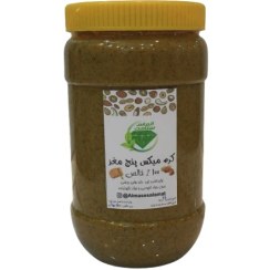 تصویر کره میکس پنج مغز | نیم کیلویی | الماس سلامت 