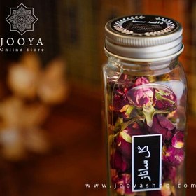 تصویر غنچه گل محمدی 