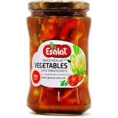 تصویر اصالت ترشی مخلوط سس گوجه 570گرم 