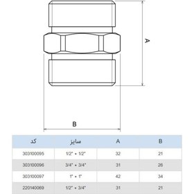 تصویر مغزی (واسطه) ریابی 