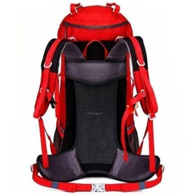 تصویر کوله پشتی کوهنوردی 5+45 لیتری پکینیو مدل Advanture 5+45 cow head backpack model 8053