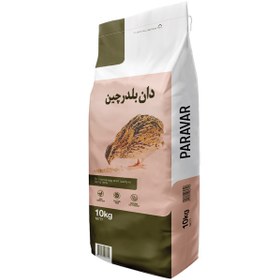 تصویر دان بلدرچین 