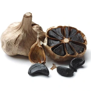 تصویر فروشگاه تکنو سلامت