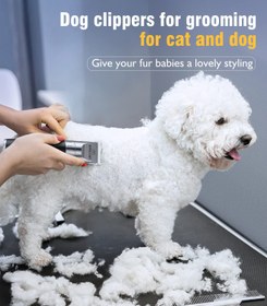 تصویر ماشین اصلاح موی سگ و گربه برند: oneisall کد N 10 ا Dog and cat hair trimmer brand: oneisall code N 10 Dog and cat hair trimmer brand: oneisall code N 10