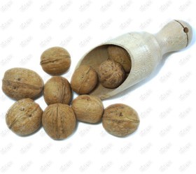 تصویر گردو با پوست Nuts