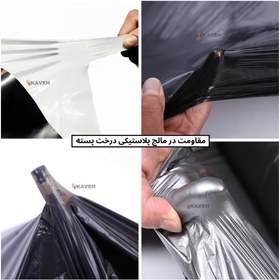 تصویر مالچ پلاستیکی درخت پسته Pistachio Tree Plastic Mulch