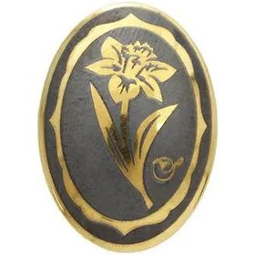 تصویر سنگ حدید اسفند ماه کد 6944 